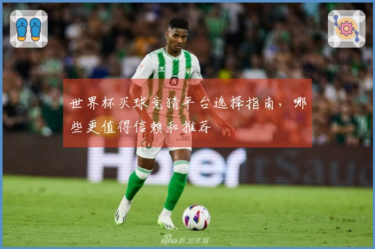 世界杯买球竞猜平台选择指南，哪些更值得信赖和推荐