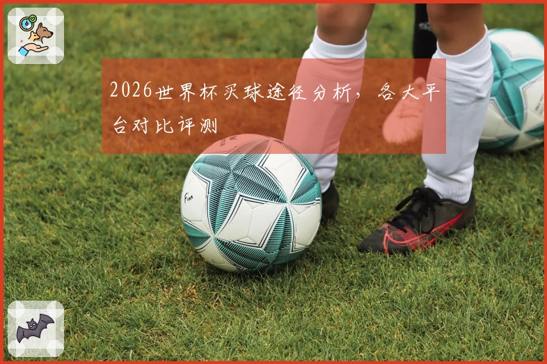 2026世界杯买球途径分析，各大平台对比评测