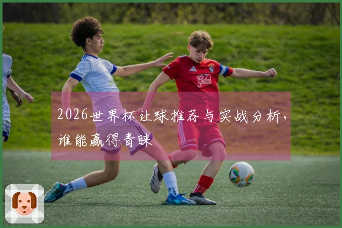 2026世界杯让球推荐与实战分析，谁能赢得青睐