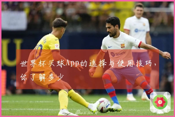 世界杯买球App的选择与使用技巧，你了解多少