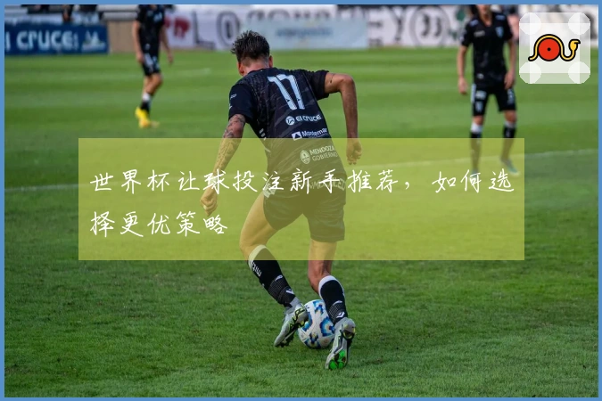 世界杯让球投注新手推荐，如何选择更优策略