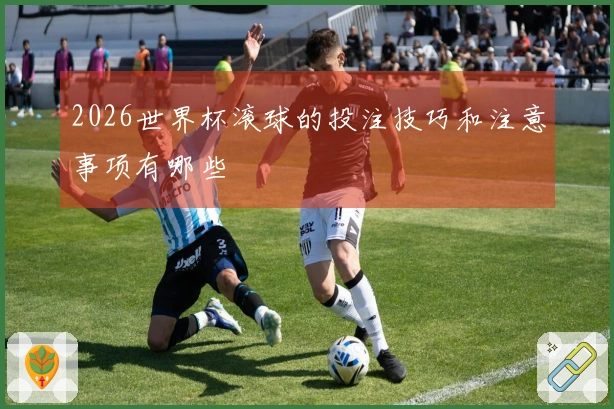 2026世界杯滚球的投注技巧和注意事项有哪些