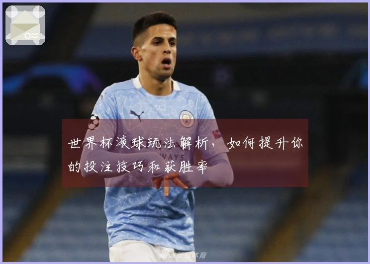 世界杯滚球玩法解析，如何提升你的投注技巧和获胜率