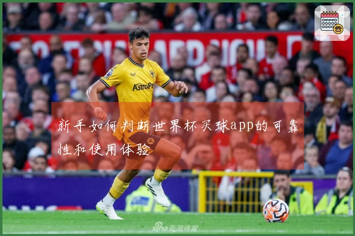 新手如何判断世界杯买球app的可靠性和使用体验