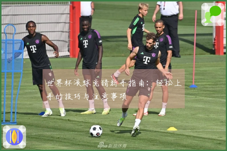 世界杯滚球竞猜新手指南：轻松上手的技巧与注意事项