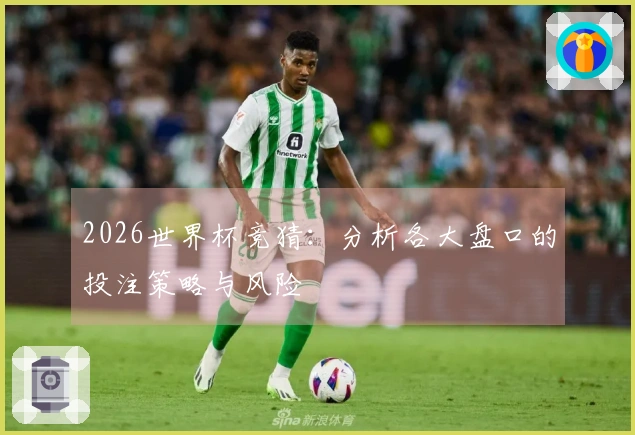 2026世界杯竞猜：分析各大盘口的投注策略与风险