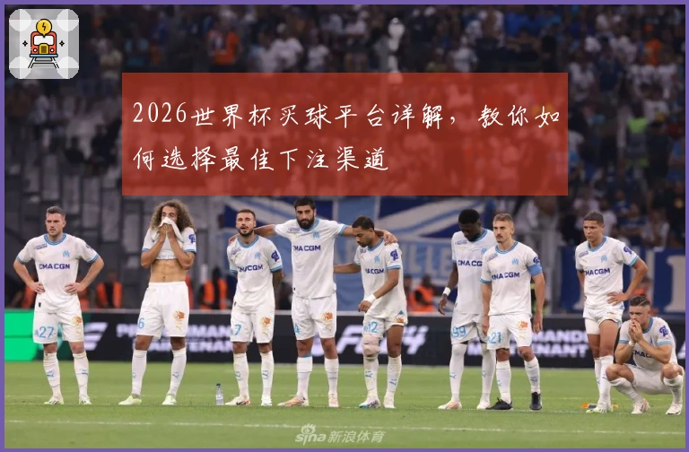 2026世界杯买球平台详解，教你如何选择最佳下注渠道