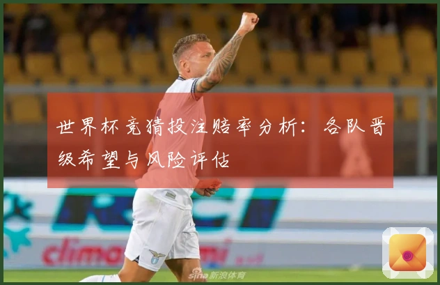 世界杯竞猜投注赔率分析：各队晋级希望与风险评估