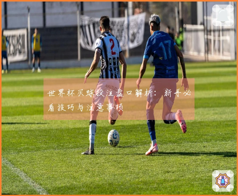 世界杯买球投注盘口解析：新手必看技巧与注意事项