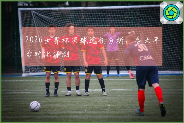 2026世界杯买球途径分析，各大平台对比评测