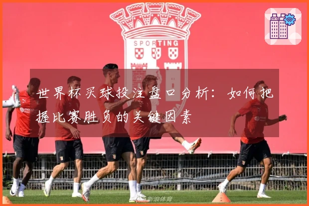 世界杯买球投注盘口分析：如何把握比赛胜负的关键因素