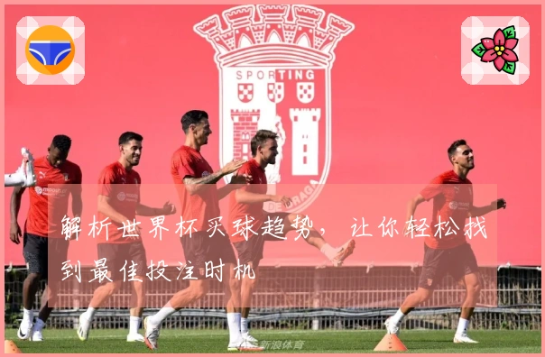 解析世界杯买球趋势，让你轻松找到最佳投注时机