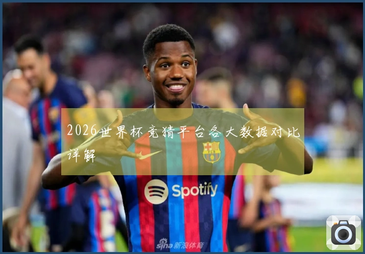 2026世界杯竞猜平台各大数据对比详解