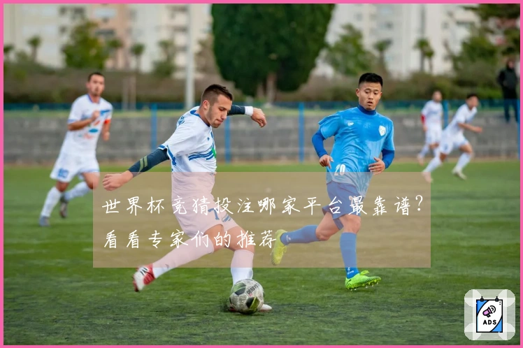 世界杯竞猜投注哪家平台最靠谱？看看专家们的推荐