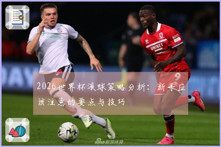 2026世界杯滚球策略分析：新手应该注意的要点与技巧