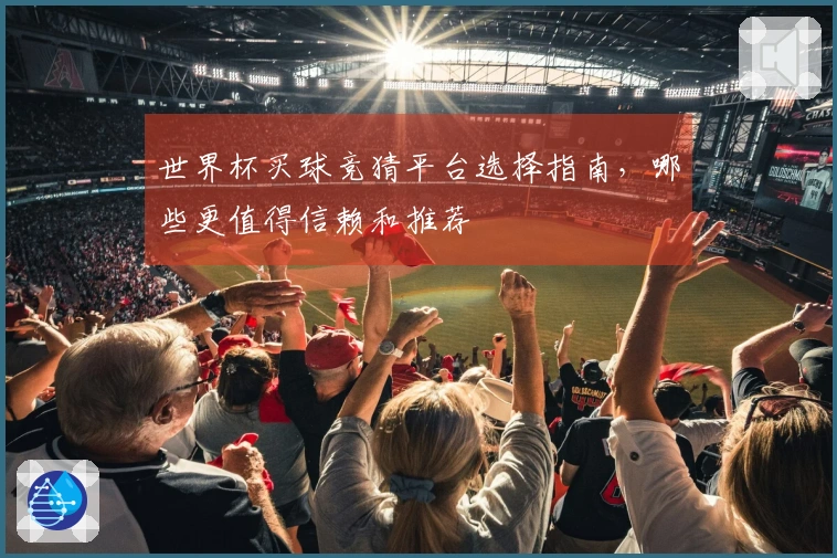 世界杯买球竞猜平台选择指南，哪些更值得信赖和推荐