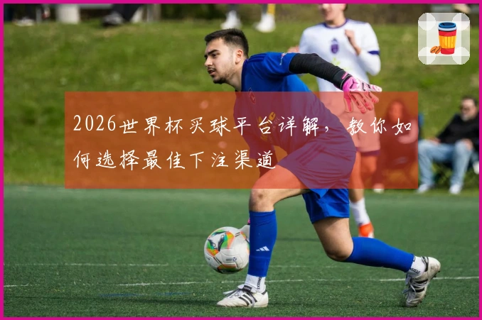 2026世界杯买球平台详解，教你如何选择最佳下注渠道