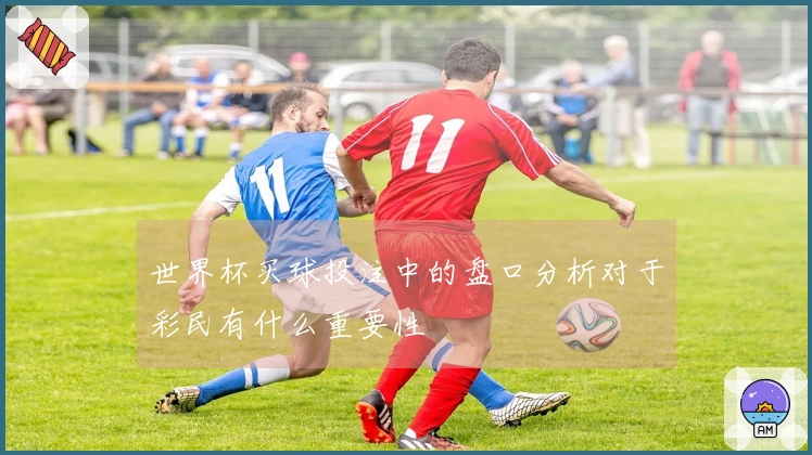 世界杯买球投注中的盘口分析对于彩民有什么重要性