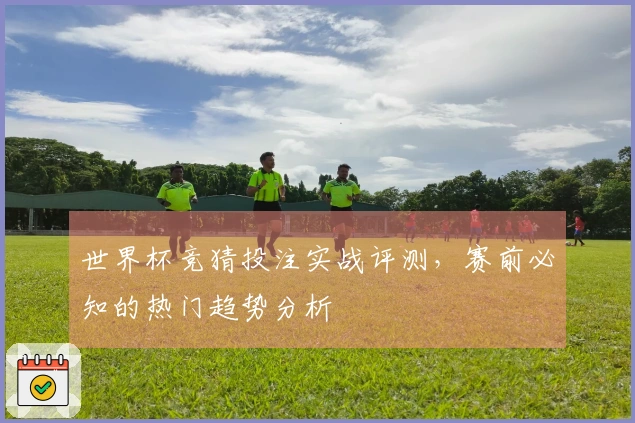 世界杯竞猜投注实战评测，赛前必知的热门趋势分析