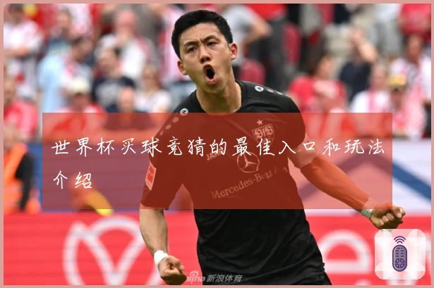 世界杯买球竞猜的最佳入口和玩法介绍