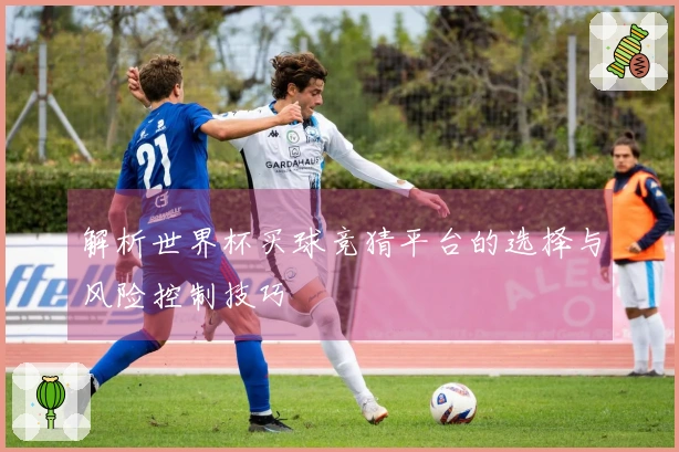 解析世界杯买球竞猜平台的选择与风险控制技巧
